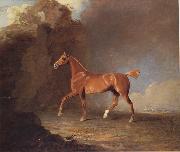 Benjamin Marshall A Golden Chestnut Racehorse by a Rock Formation With a Town Beyond oil on canvas